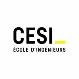 cesi_CMJN trait jaune